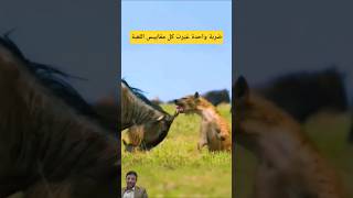 ضربة واحدة غيّرت كل مقاييس اللعبة #shorts