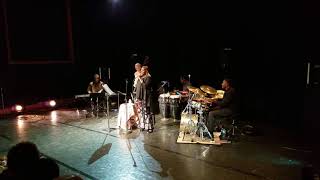 A Day in the Life of a Fool