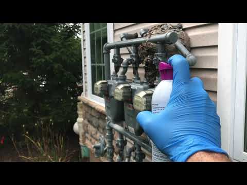 Hornets Got Gas in Rumson, NJ