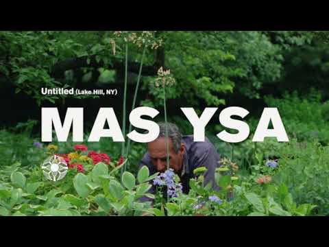 MAS YSA | UNTITLED (LAKE HILL, NY)