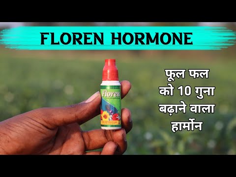 Floren hormone || Flowering_hormone फूल फल बढ़ाने के लिए