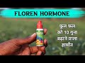 Floren hormone || Flowering_hormone फूल फल बढ़ाने के लिए