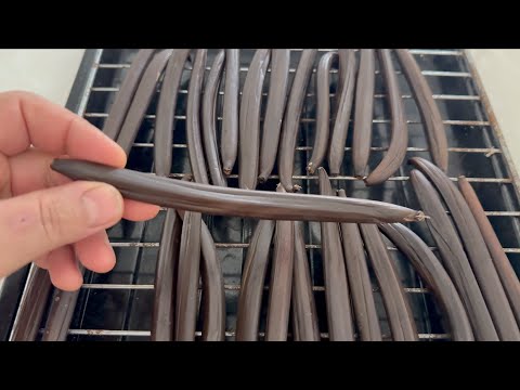 Lavorazione della vaniglia, metodo bourbon