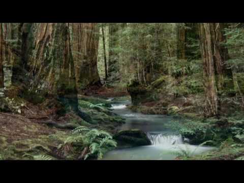 INESSA GALANTE and INGUS PETERSONS - Duet "Un di felice" La Traviata (Verdi)