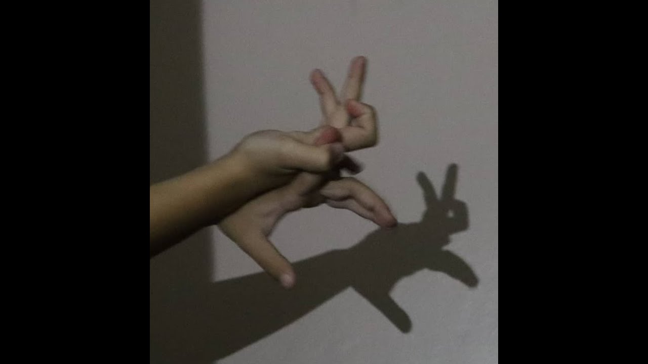 Watch Now COMO FAZER SOMBRAS DE ANIMAIS, COM AS MÃOS! COMO FAZER SOMBRAS DE ANIMAIS, COM AS MÃOS!