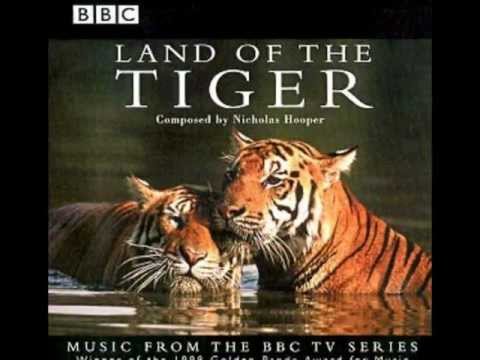 18. Fort In Rajasthan - Nicholas Hooper ("Land of the Tiger")