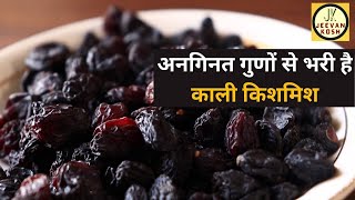 Black Raisins Health Benefits सेहत के गुणों का भंडार है काली किशमिश, फायदे - नुकसान | Jeevan Kosh
