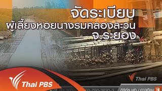 ร้องทุก(ข์) ลงป้ายนี้ - จัดระเบียบผู้เลี้ยงหอยนางรมคลองละวน จ.ระยอง