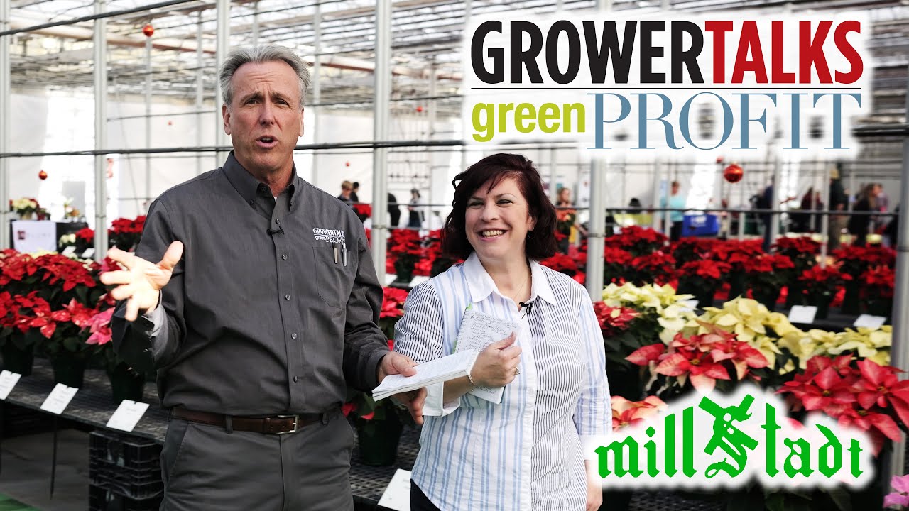 GrowerTalks at the Heimos Poinsettia Open House 2023