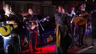 Video de Mariachi Klasico