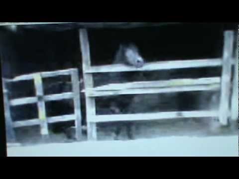 Trocha. Don Corleone (Duelo-Tupac Amaru)