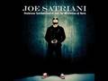 Joe Satriani-Asik Veysel