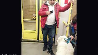 Download lagu Ihtiyacim var sana gel❤ mp3 Download lagu Ihtiyacim var sana gel❤ mp3