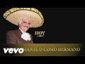 Vicente Fernández - Como Amante o Como Hermano (Cover Audio)