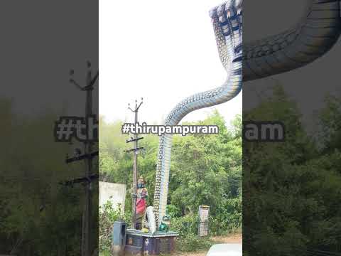 Thirupamburam situated Near Kumbakonam🌻visit this temple for #rahuketupeyarchi naga dhosham