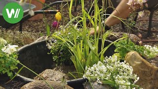 Der Garten Im Sommer Rosenpflege Und Stauden Музыка для Машины