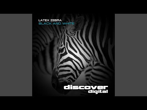 1 Latex Zebra - Black & White.wav