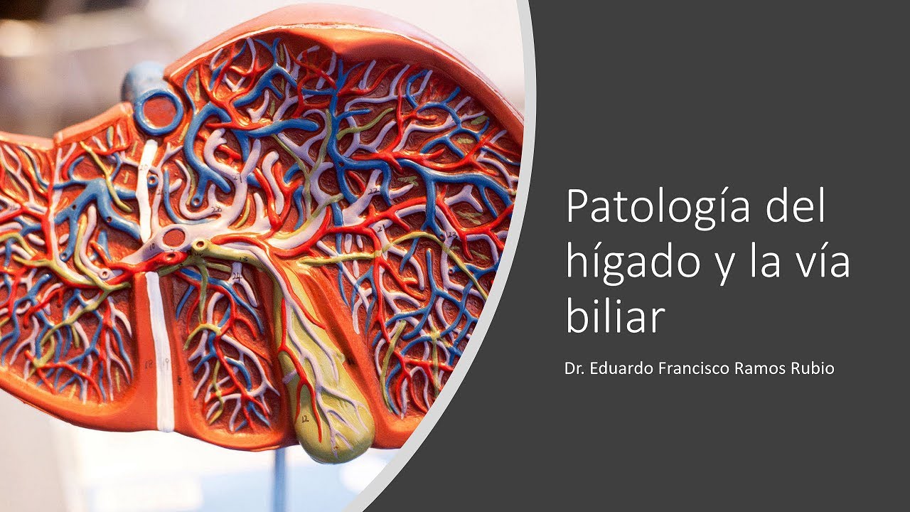 Patología del hígado y la vía biliar