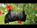 Non Padded Underwired Bra Black
