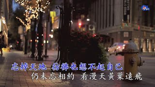 約定 | 王菲 | 粵語 | 高清 | 伴唱版本 | 卡拉OK | KARAOKE | KTV