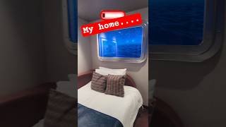 My TINY CRUISE ROOM! #cruise #msc #50s #travel