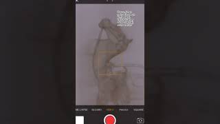 Download lagu great warrior and the fighter of Islam Hassan R.A the fav grand child of our prophet Muhammad SAW🦁 mp3 Download lagu great warrior and the fighter of Islam Hassan R.A the fav grand child of our prophet Muhammad SAW🦁 mp3