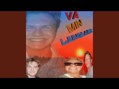 VA MIN LJUNGLARS