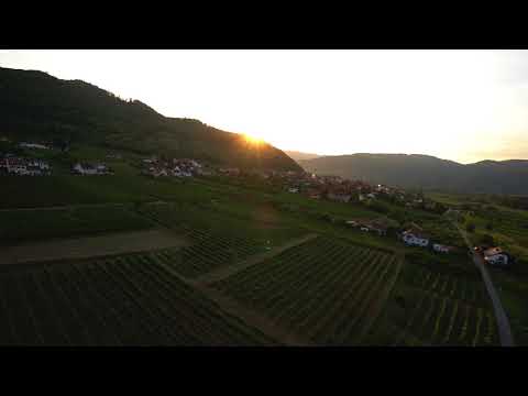 Vom Weingarten zum Schiff - Drohnenaufnahmen