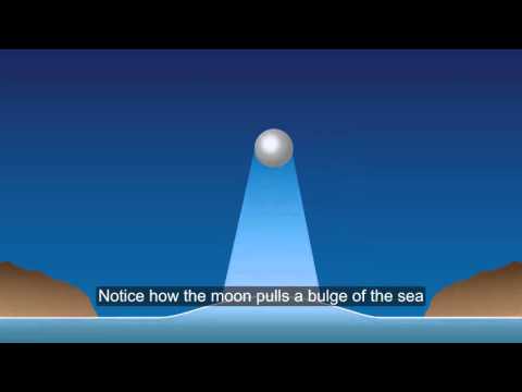 How Tides Are Formed