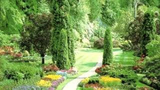 Get Naked Get Together (medley)