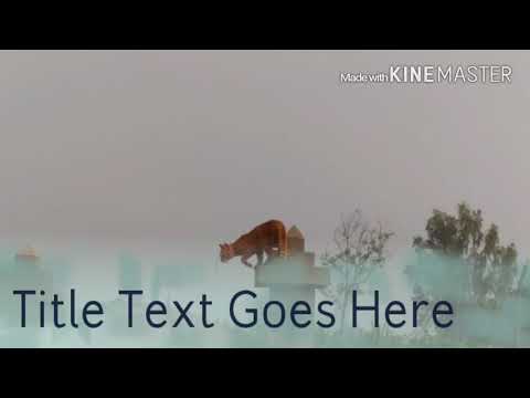 Muni Jishnu Shirahatti