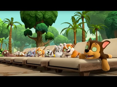 PAW Patrol - Elephant Jungle Spa | Season 10 Compilation | WildBrain Zoo | Kids Cartoons