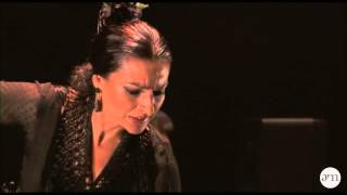 Familia de los Reyes - Biennale d´art flamenco / Théâtre national de Chaillot (Paris)