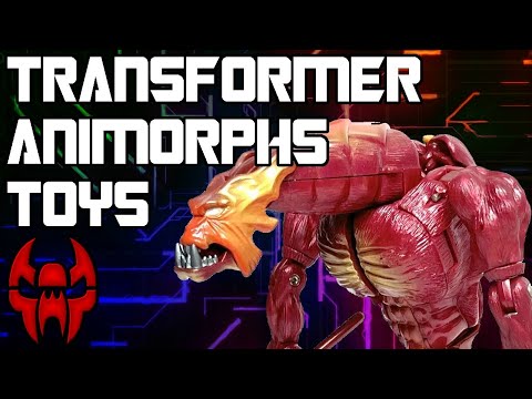 Looking Back At Animorphs Transformers