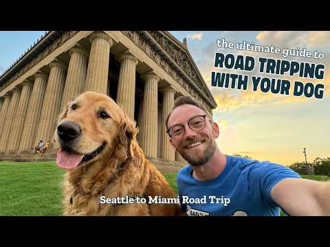 The Ultimate Guide to Traveling With Your Dog! Road Tripping Tips From a Pro Pet Transporter!