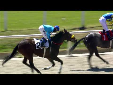 10/10/2020 – Hipodromo Maroñas – Carr 1 - SUPREMA CORTE DE JUSTICIA