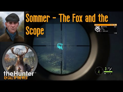 Sommer - The Fox and the Scope theHunter Call of the Wild