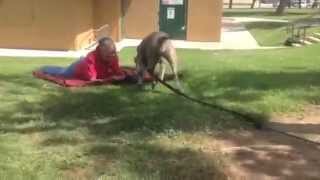 CORONA ANIMAL SHELTER APRIL 9, 2014 CORONA ANIMAL SHELTER APRIL 9, 2014