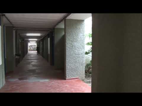 TJ UFSC 02/12/19 - Relembre: Atualizações BRT em Florianópolis // Laudo de Segurança CFM