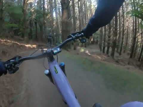 Te Poaka with Roland Matariki long weekend