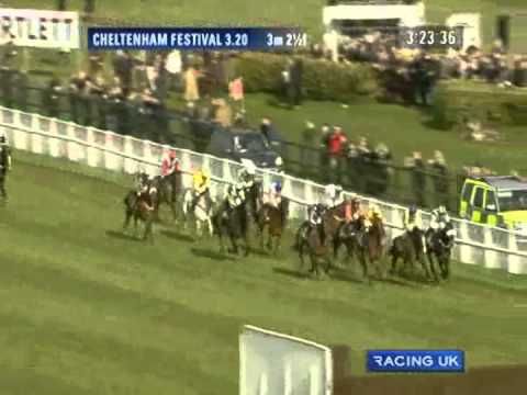 Cheltenham Gold Cup Chase 2011