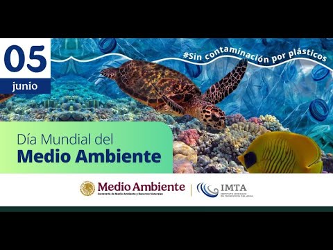 Día Mundial del Medio Ambiente 2025