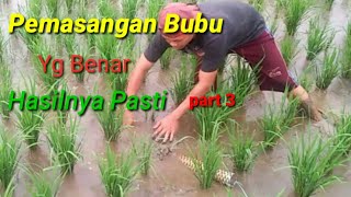 Download lagu Pengambilan Perangkap Belut #part 3 mp3