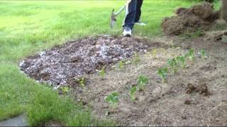 Grass to Garden in under 5 minutes