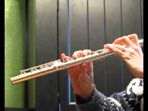 Yamaha Allegro 371 Used Flutes - Demo of Low to Mid Registers