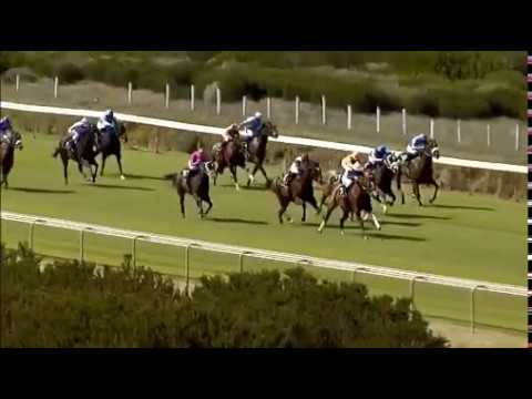 2019-04-16 Kenilworth race 1 won by General Franco