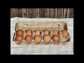 Chicken Maths Counting Eggs 1 12