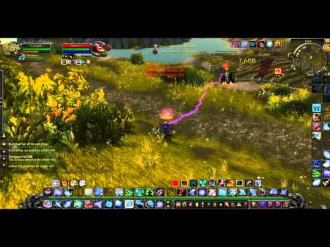 Pyrocause WoW:BM Hunter PVP 3 (lvl 90) Disturbed-Indestructible