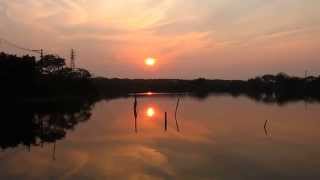 preview picture of video '140405SN 芝芭里●啟文路三段⊙灌溉魚池-流蘇夕燒1751'