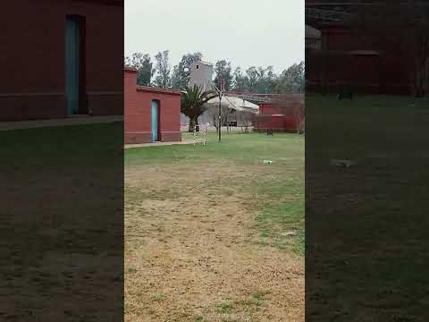 paseo por guatimozin Córdoba !!!